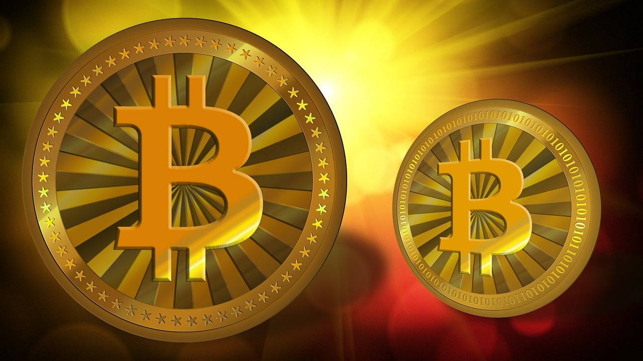 Seele元一币最新动态与消息概览